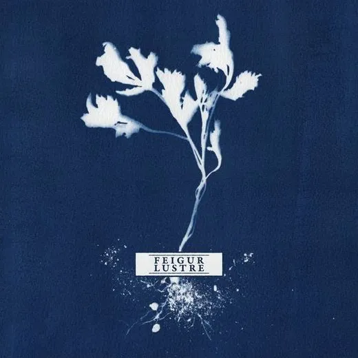 Feigur / Lustre von Feigur – Album Cover