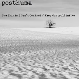 The Things I Can’t Control / Keep Controlling Me von Posthuma – Cover