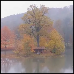 In Love von Devon Rea – Album Cover