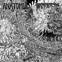 Anatomia / Morbific von Morbific – Cover