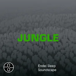 Jungle (Sleep Soundscape) von The Blaze – Cover