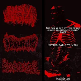 The zyn at the bottom of the jerkey bag had me spinnin' dawg / Gutted balls to neck von RUSTY LOBOTOMY – Cover