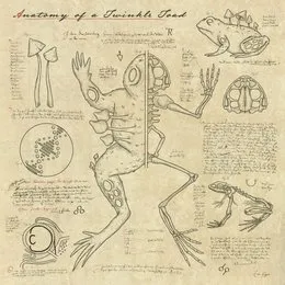 Anatomy of a Twinkle Toad von Truth – Album Cover