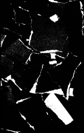 Rushing Wires von Breaking the Will – Cover