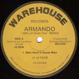 100% of Disin’ You: Remix von Armando – Cover