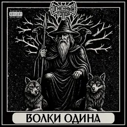 Волки Одина von Огненный Топор – Album Cover