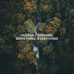 Something, Everything von Sultan + Shepard – Album Cover