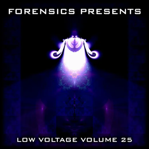 Low Voltage Volume 25
