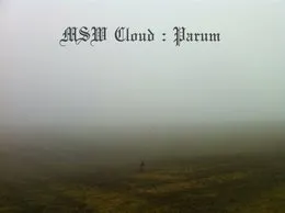 Parum von MSW – Cover