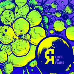 Flies to Flame von Rosetta – Album Cover