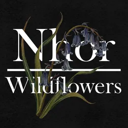 Wildflowers: Spring von Nhor – Cover