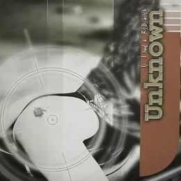If I Had a R&B Bitch von Unknown – Album Cover