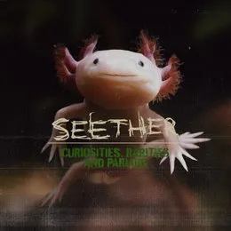 Curiosities, Rarities And Pariahs von Seether – Album Cover