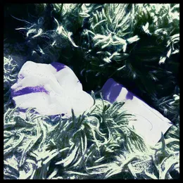 Paraglow von 파란노을 – Album Cover