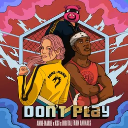 Don’t Play (acoustic) von Digital Farm Animals – Cover