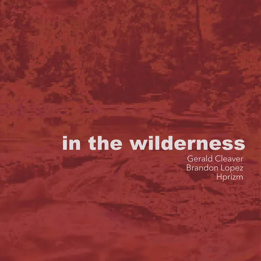 In the Wilderness