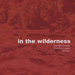 In the Wilderness von Brandon Lopez – Album Cover