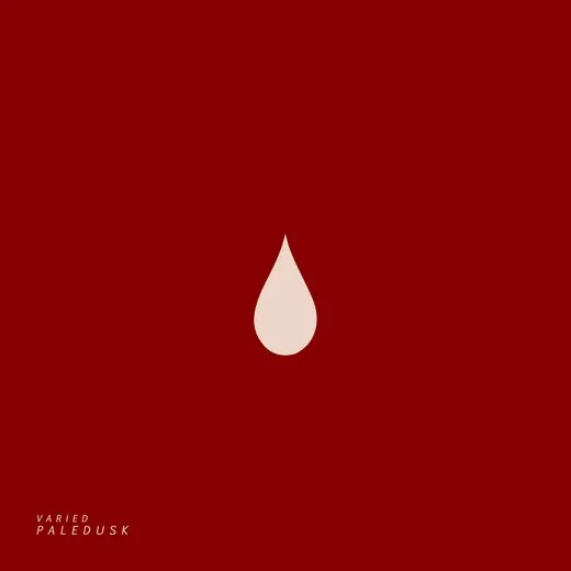 VARIED von Paledusk – Album Cover
