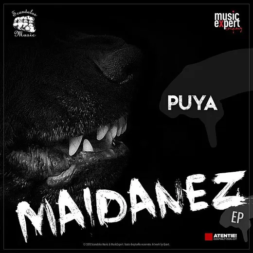 Maidanez