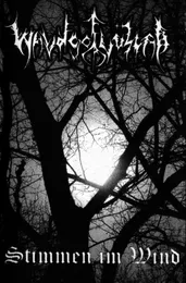 Stimmen im Wind von Waldgeflüster – Album Cover