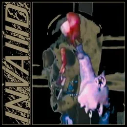 Cover Story von Inva//id – Album Cover