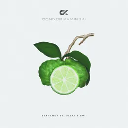 Bergamot von Plini – Album Cover