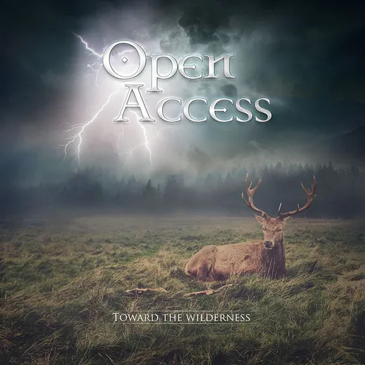 Toward the Wilderness
