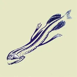 The Squid von Aaron Dilloway – Album Cover
