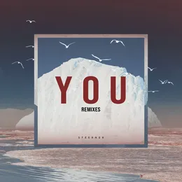 YOU (Remixes) von Steerner – Album Cover