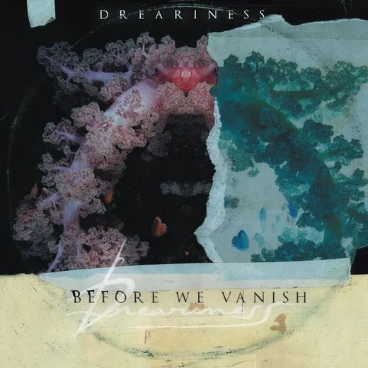 Before We Vanish von Dreariness – Album Cover