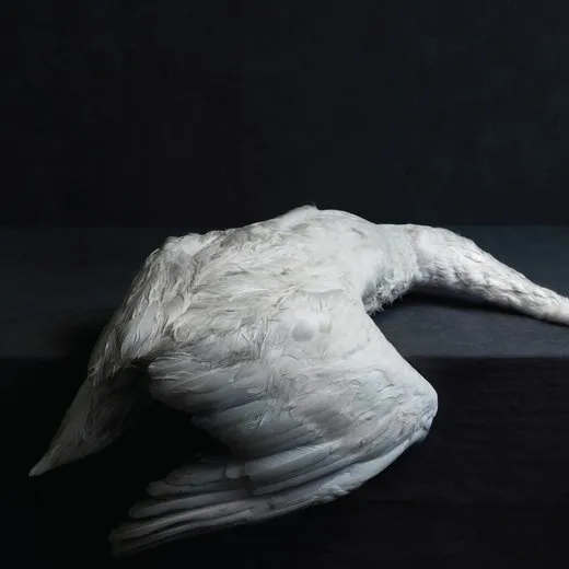 Mass VI von Amenra – Album Cover
