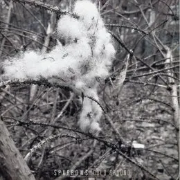 Cold Ground von Sparrows – Album Cover