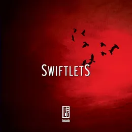 Swiftlets von 10 Code – Album Cover