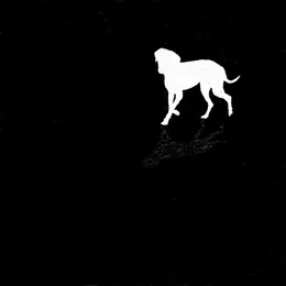 Geschichten die wir niemandem erzählen von moé – Album Cover