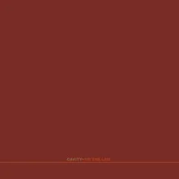 On the Lam von Cavity – Album Cover