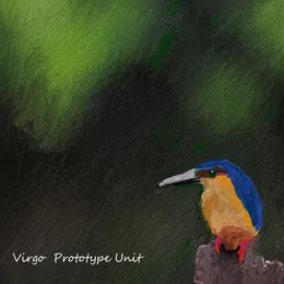 Prototype Unit von VIRGO – Cover
