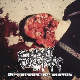 Death Is the Orgasm of Life von Bowel Erosion – Album Cover