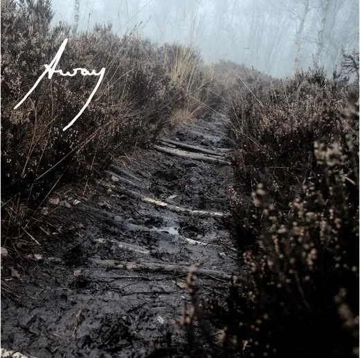 Birch Path von AwAy – Album Cover