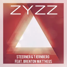 Zyzz (Original Mix) von Steerner – Album Cover