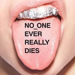 NO_ONE EVER REALLY DIES von N*E*R*D – Album Cover
