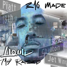 316 Made 719 Raised von Liquid – Cover