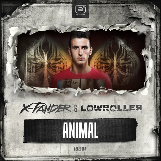 Animal