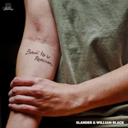 Back to U (Remixes) von SLANDER – Album Cover