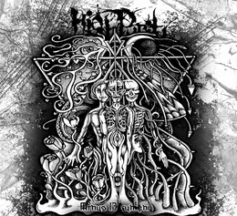 Mínus 13 Lumenů von High Purity – Album Cover