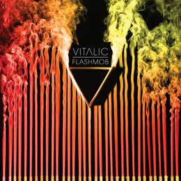 Flashmob von Vitalic – Album Cover