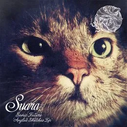 Angled Sketches EP von Sonic Future – Cover