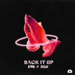 Back It Up von Sully – Cover