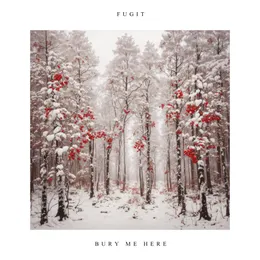 Bury Me Here von Fugit – Album Cover