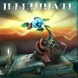 Ein ganzes Leben von Illuminate – Album Cover