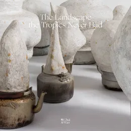 热带从未有过的风景 von 吹万 – Album Cover